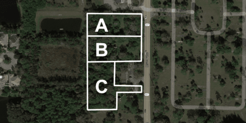 Land Auction 11 21